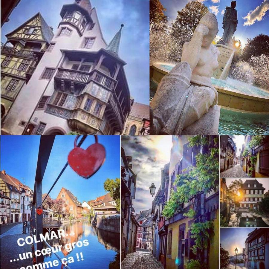 N¨°1 Schongauer Gite De Charme Centre Touristique กอลมาร์ ภายนอก รูปภาพ